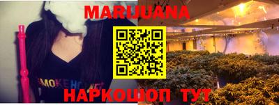 бошки Кингисепп