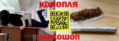 бошки Кингисепп