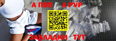 бошки Кингисепп