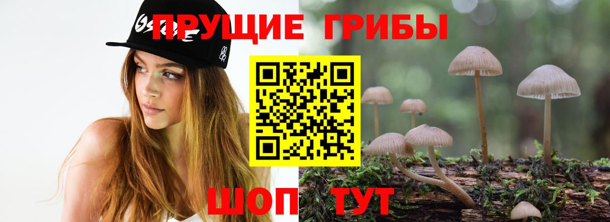 Псилоцибиновые грибы Cubensis  Вход с VPN  Кудрово 